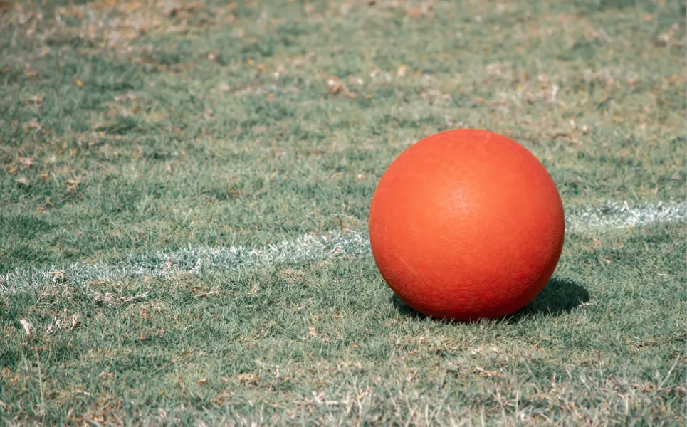 Kickball Woody Pine Sports